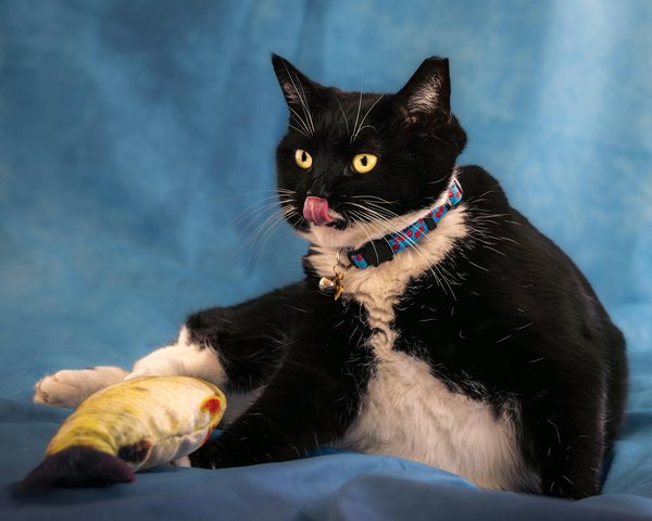 What are the emerging trends in the UK startup ecosystem?